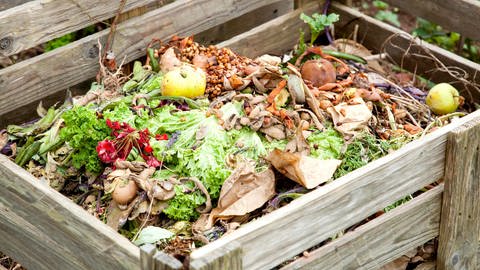 Ein Komposthaufen umrahmt von einer Holzumrandung. Darin liegen Gemüse-, Obst- und Reste von Pflanzen. Richtig kompostieren: Es ist wichtig zu wissen, wie ein guter Kompost im eigenen Garten angelegt wird.