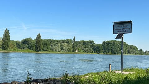 Wie sauber ist der Rhein bei Karlsruhe? Unterwegs bei einer Kontrolle