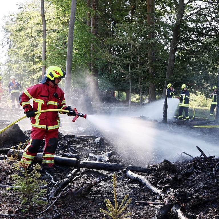 Feuerwehrleute löschen einen Waldbrand mit Wasser - der Rhein-Lahn-Kreis probt die Waldbrand-Bekämpfung am Wochenende bei einer Großübung.